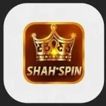 ShahSpin game